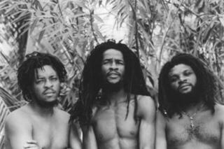 LP ploča The Ethiopians - Reggae Power (LP) - 2