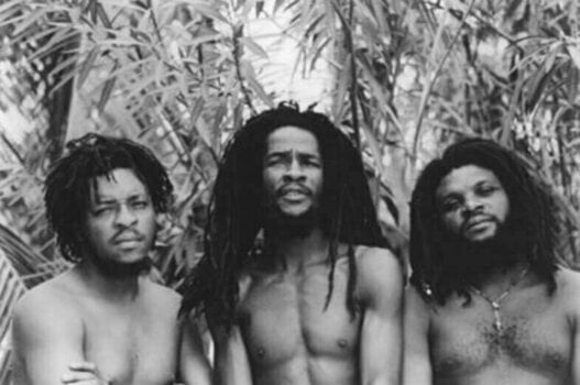 Δίσκος LP The Ethiopians - Reggae Power (LP) - 3