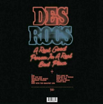Δίσκος LP Des Rocs - A Real Good Person in a Real Bad Place (LP) - 2