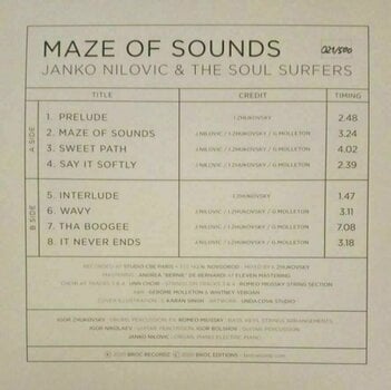 Δίσκος LP Janko Nilovic - Maze Of Sounds (LP) - 4
