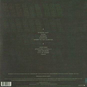 Δίσκος LP Portico Quartet - Portico Quartet (2 LP) - 4