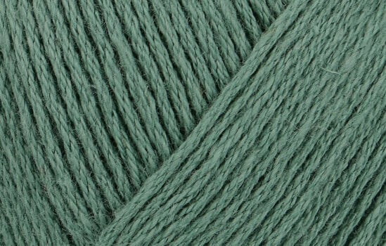 Fios para tricotar Schachenmayr Cotton Bambulino Fios para tricotar 00071 - 2
