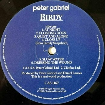 Hanglemez Peter Gabriel - Birdy (LP) - 2