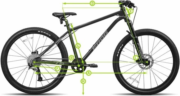 Bicicleta rígida Frog MTB 62 Shimano Alivio RD-M3100-SGS Shadow 1x9 Metallic Grey/Neon Blue 12,5" Bicicleta rígida - 2