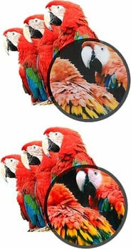 Câmara instantânea KODAK Mini shot Combo 2 White Câmara instantânea - 5