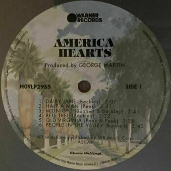 Hanglemez America - Hearts (Silver Vinyl) (LP) - 2
