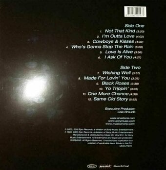 Hanglemez Anastacia - Not That Kind (180g) (LP) - 4