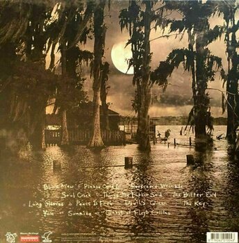Δίσκος LP Black Stone Cherry - Folklore and Superstition (180g) (2 LP) - 2