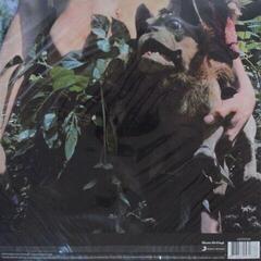 LP deska Fleetwood Mac - Mr. Wonderful (180g) (LP) - 3