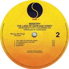 Disque vinyle Ministry - Land of Rape and Honey (LP) - 2