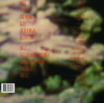 Disc de vinil Ministry - Land of Rape and Honey (LP) - 4