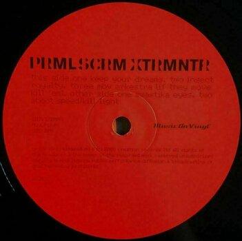 Hanglemez Primal Scream - Exterminator (180g) (2 LP) - 2