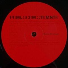 Schallplatte Primal Scream - Exterminator (180g) (2 LP) - 3