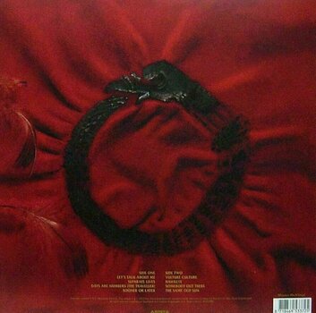 Disco de vinil The Alan Parsons Project - Vulture Culture (180g) (LP) - 4