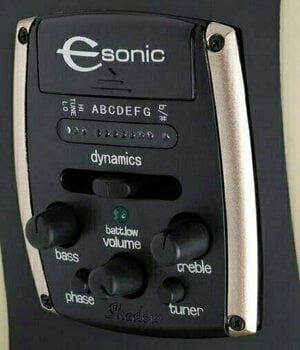 electro-acoustic guitar Epiphone PR5-E EB - 2