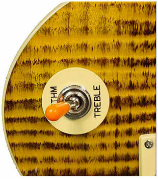 Elektrische gitaar Epiphone Les Paul Standard Plus Top J.P. AT - 2