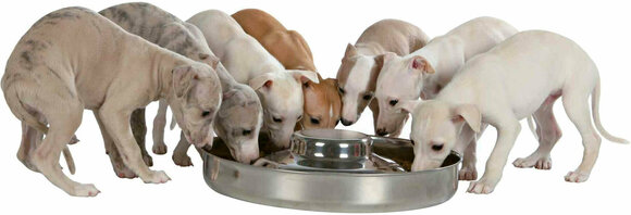 Kutya tál Trixie Stainless Steel Bowl for Puppies Kutya tál 4 L Kutya tál - 2