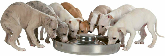 Hundenapf Trixie Stainless Steel Bowl for Puppies 4l/38cm - 2