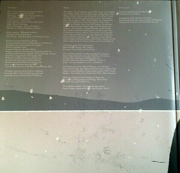 LP plošča Steven Wilson - Raven That Refused To Sing (And Other Stories) (2 LP) - 2