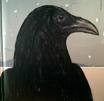 Δίσκος LP Steven Wilson - Raven That Refused To Sing (And Other Stories) (2 LP) - 3