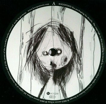 Δίσκος LP Steven Wilson - Raven That Refused To Sing (And Other Stories) (2 LP) - 4