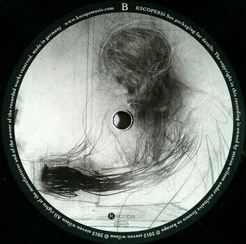Schallplatte Steven Wilson - Raven That Refused To Sing (And Other Stories) (2 LP) - 5