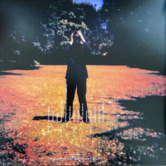 Hanglemez Steven Wilson - Insurgentes (2 LP) - 5