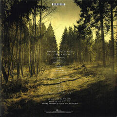 Hanglemez Steven Wilson - Grace For Drowning (2 LP) - 6