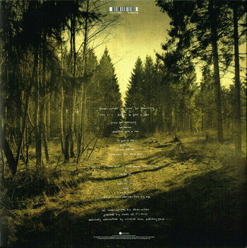Vinyylilevy Steven Wilson - Grace For Drowning (2 LP) - 7