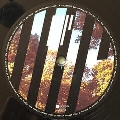 Hanglemez Steven Wilson - 4,5 (180g) (LP) - 1