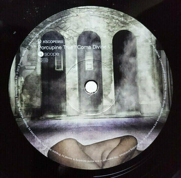 Hanglemez Porcupine Tree - Coma Divine (180g) (3 LP) - 5