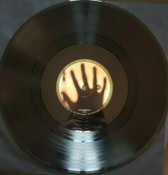 Vinyl Record Porcupine Tree - Fear of A Blank Planet (2 LP) - 4