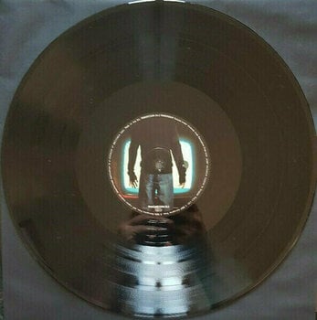 Vinyl Record Porcupine Tree - Fear of A Blank Planet (2 LP) - 6
