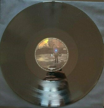 Vinyl Record Porcupine Tree - Fear of A Blank Planet (2 LP) - 8