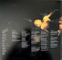 Vinylplade Porcupine Tree - Incident (2 LP) - 1
