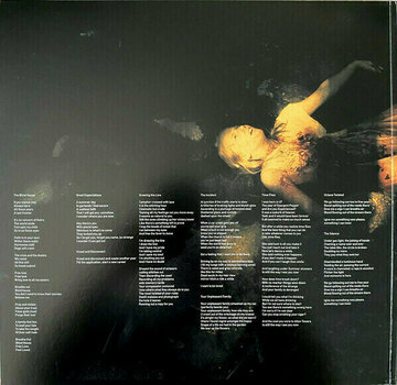 Płyta winylowa Porcupine Tree - Incident (2 LP) - 2