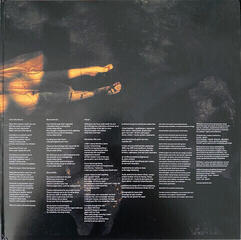 Vinylplade Porcupine Tree - Incident (2 LP) - 2