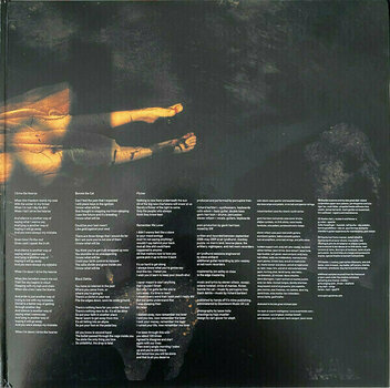 Vinyl Record Porcupine Tree - Incident (2 LP) - 3