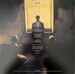 Vinylplade Porcupine Tree - Incident (2 LP) - 7