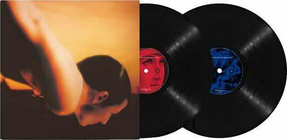 Vinyl Record Porcupine Tree - On The Sunday Of Life (2 LP) - 2