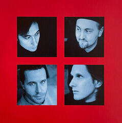 Vinylplade Porcupine Tree - Recordings (2 LP) - 6