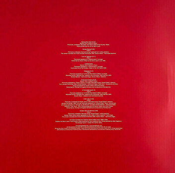 Vinyl Record Porcupine Tree - Recordings (2 LP) - 8