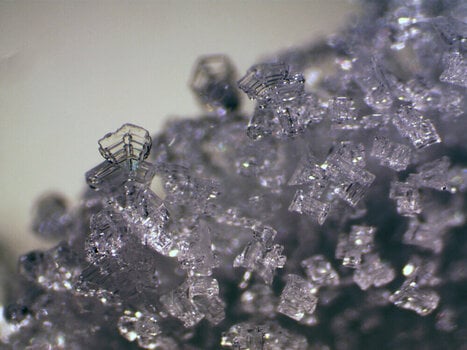 Microscope Bresser Erudit ICD Stereo - 10