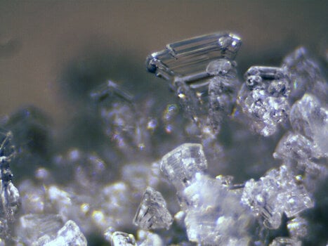 Microscope Bresser Erudit ICD Stereo - 11