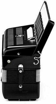 Piano accordion
 Hohner BRAVO III 80 Black - 4