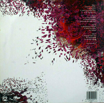 Disque vinyle Garbage - Beautiful Garbage (2 LP) - 2