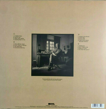 Disc de vinil Tom Petty - Finding Wildflowers (2 LP) - 6