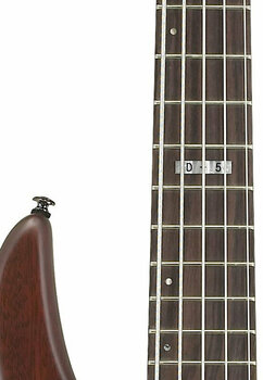 5-strunná baskytara ESP LTD D 5 NS - 3
