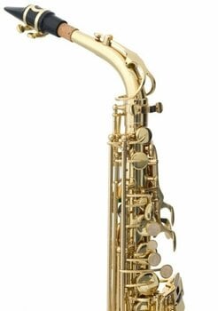 Alto saxophone Victory VAS Student 02 Alto saxophone - 2