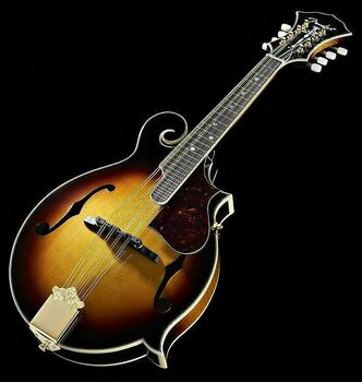 Мандолина Fender FM-63S - 2